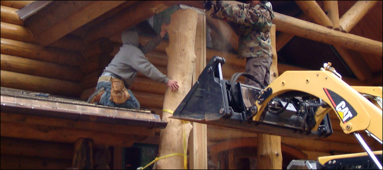 Log Home Log Replacement  Middlesex,  North Carolina